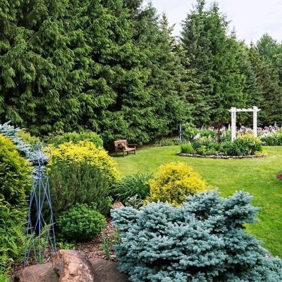 Bundle, +  .. 5 lbs for 1 shipping fee.- $3 Thanks for stopping and shopping - Picture 10 of 13